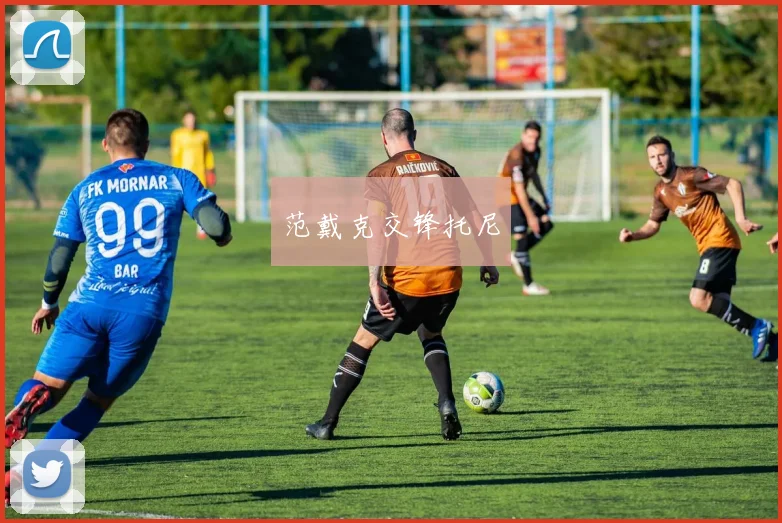 范戴克交锋托尼