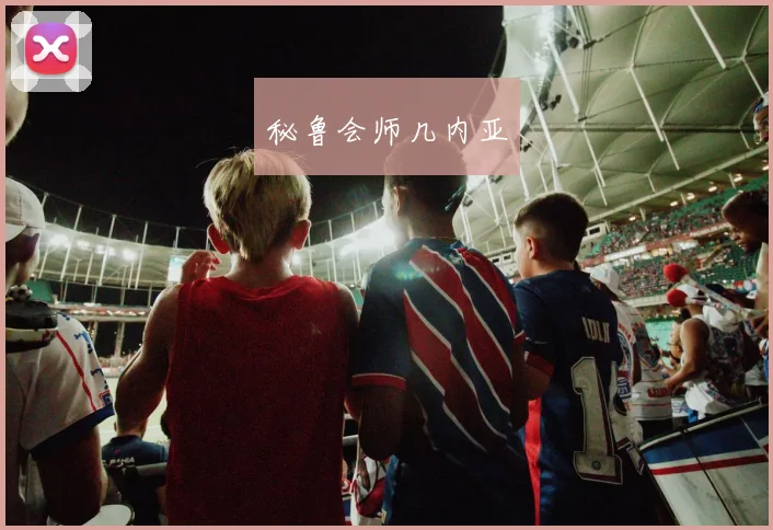 秘鲁会师几内亚