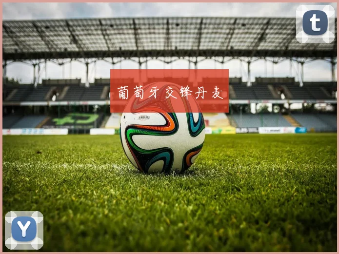 葡萄牙交锋丹麦
