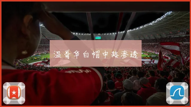 温哥华白帽中路渗透