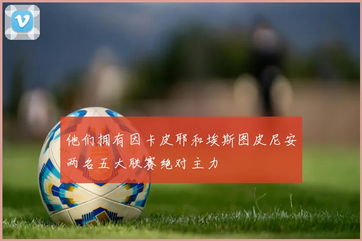 他们拥有因卡皮耶和埃斯图皮尼安两名五大联赛绝对主力