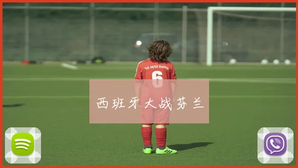 西班牙大战芬兰