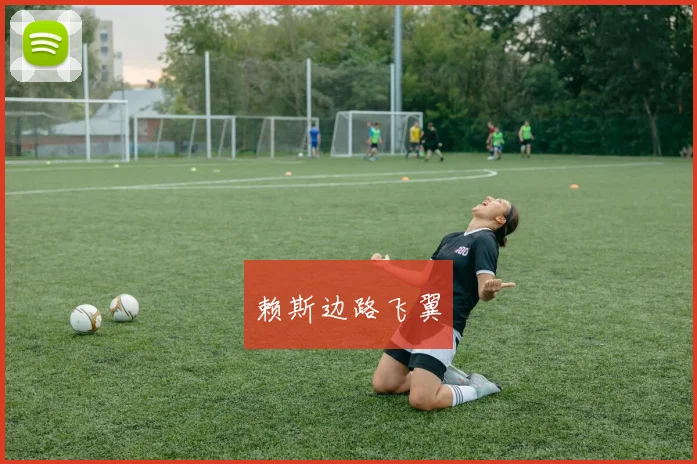 赖斯边路飞翼