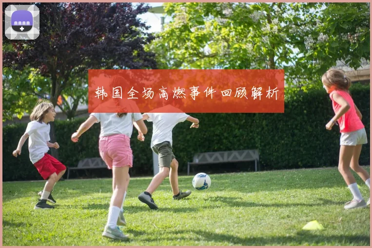 韩国全场高燃事件回顾解析