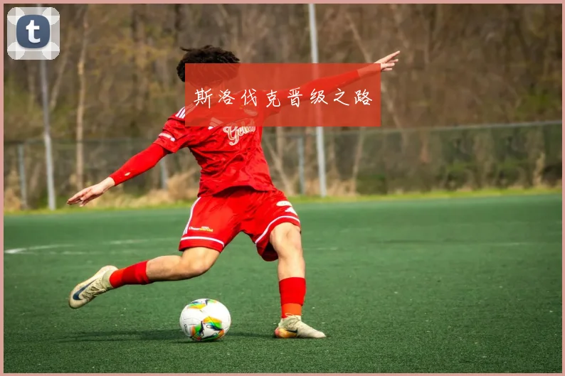 斯洛伐克晋级之路