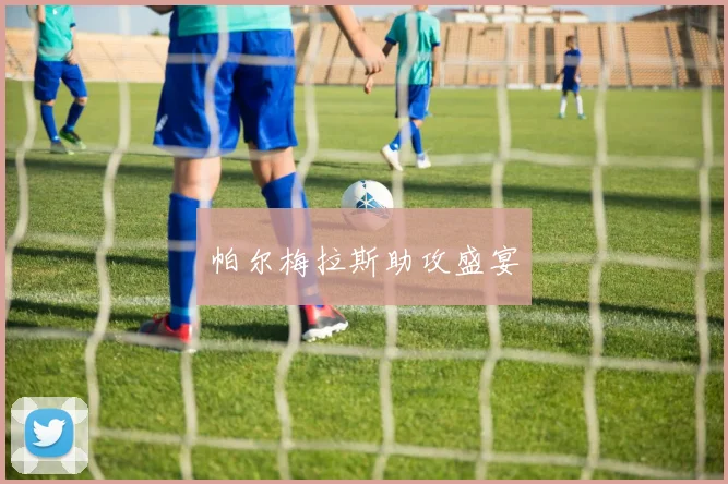 帕尔梅拉斯助攻盛宴
