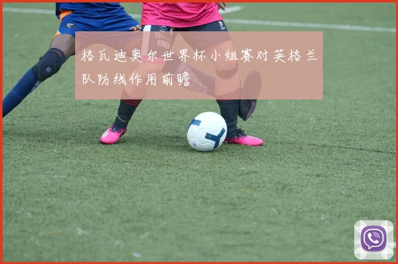 格瓦迪奥尔世界杯小组赛对英格兰队防线作用前瞻