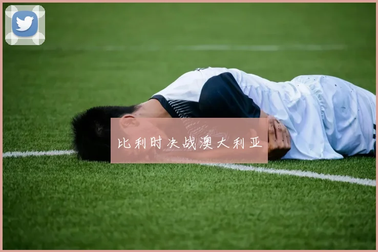 比利时决战澳大利亚