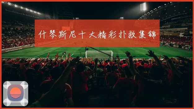 什琴斯尼十大精彩扑救集锦