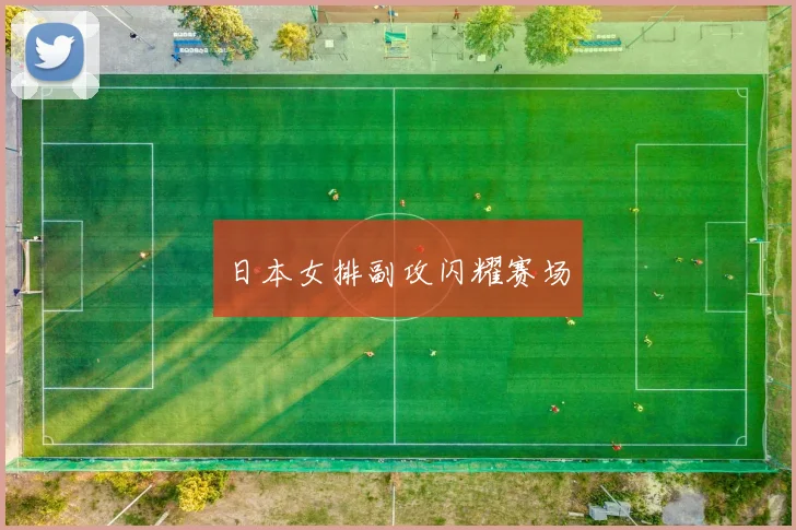 日本女排副攻闪耀赛场