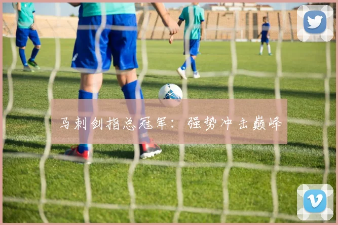 马刺剑指总冠军：强势冲击巅峰