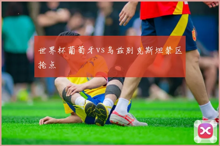 世界杯葡萄牙vs乌兹别克斯坦禁区抢点