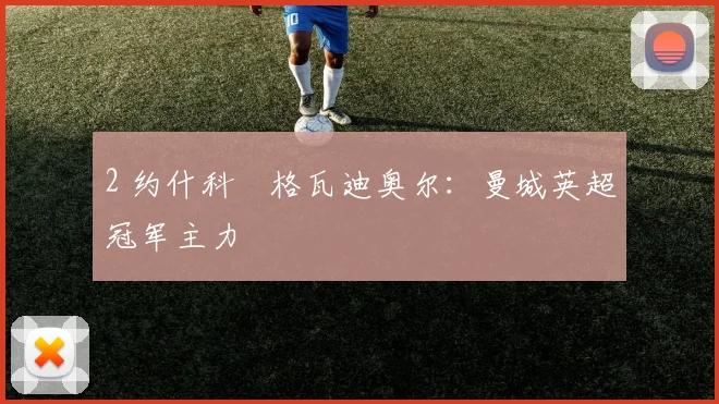 2 约什科・格瓦迪奥尔：曼城英超冠军主力