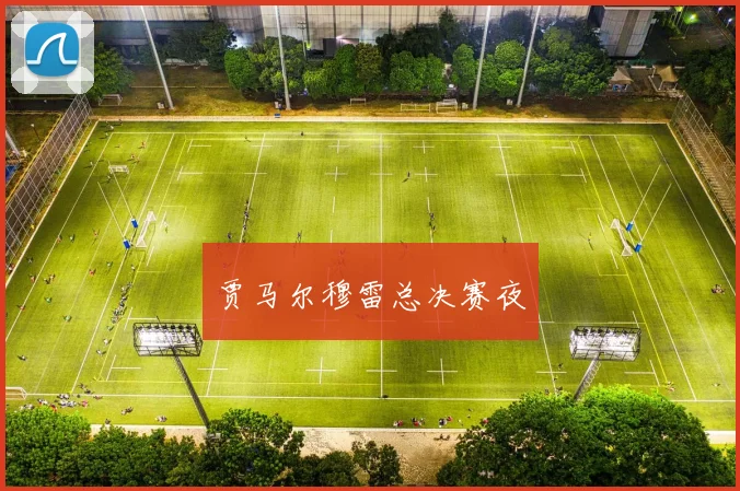 贾马尔穆雷总决赛夜