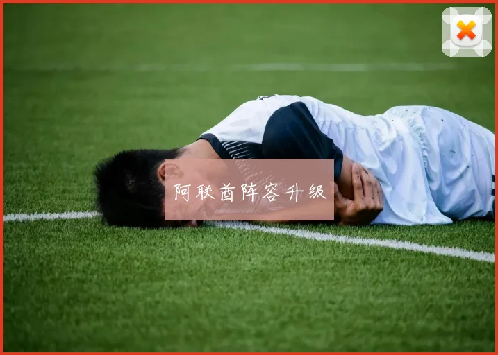 阿联酋阵容升级
