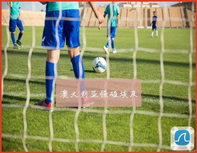 澳大利亚强碰埃及