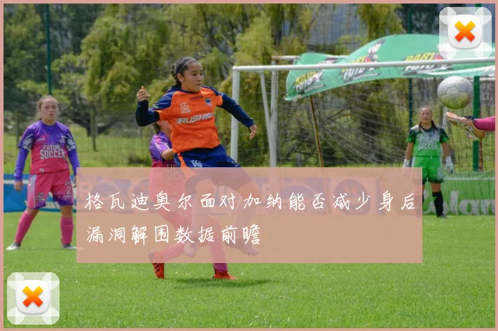 格瓦迪奥尔面对加纳能否减少身后漏洞解围数据前瞻