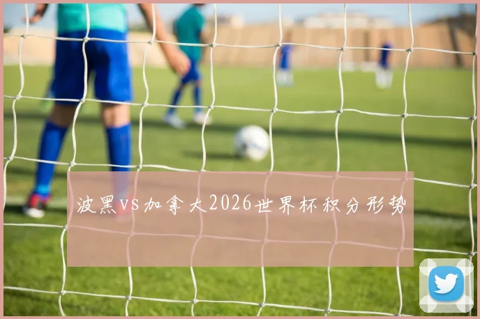 波黑vs加拿大2026世界杯积分形势